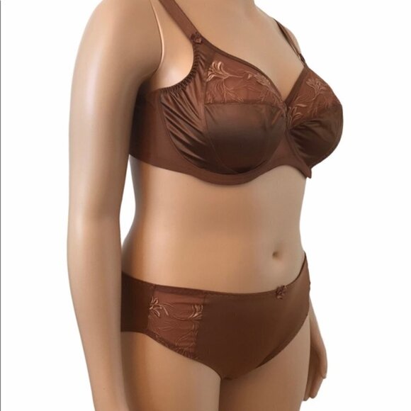 Elomi Kristie Plus Size Brief Panty Cocoa XL - Picture 6 of 12